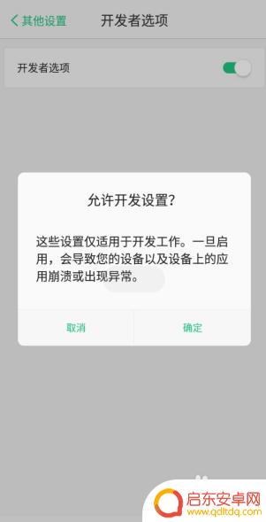 拼多多小辣椒手机如何设置 小辣椒手机开启开发者选项的步骤