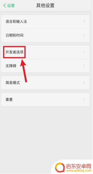 拼多多小辣椒手机如何设置 小辣椒手机开启开发者选项的步骤