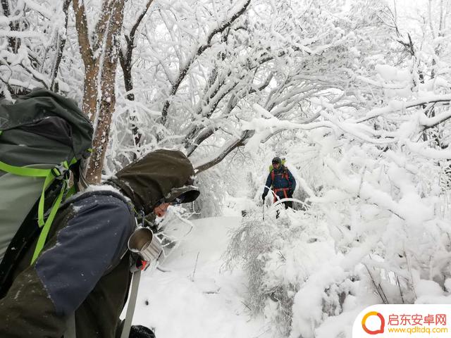 抖音西安毛驴师父(抖音西安毛驴师父真的假的)