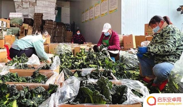 湖北随州 抖音主播(湖北随州抖音主播名单)