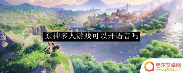 原神多人游戏为什么打不了本 原神多人游戏语音聊天有吗