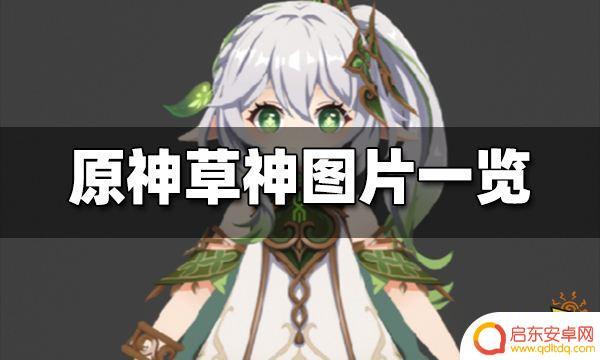 原神草神值不值得入手 原神草神抽卡攻略