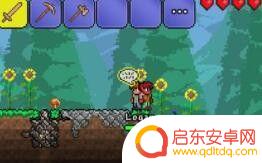 泰拉瑞亚手机端存档怎么导入？一步步教你快速实现