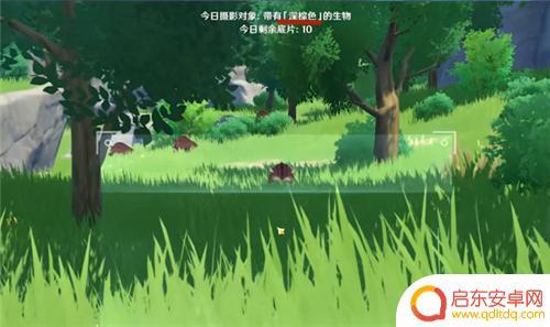 原神怎么拍摄底片 原神奇特的留影机怎么操作