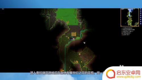 泰拉瑞亚如何有种子弯刀 泰拉瑞亚种子弯刀获取方法