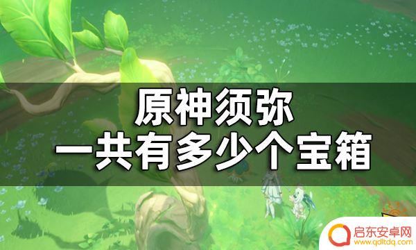 原神须弥一共多少宝箱？详细解析原神须弥宝箱位置及数量