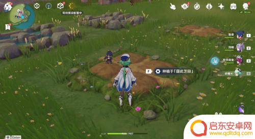 原神如何采集花种 原神梦里花怎么种植和收获