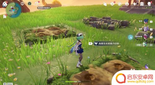 原神如何采集花种 原神梦里花怎么种植和收获