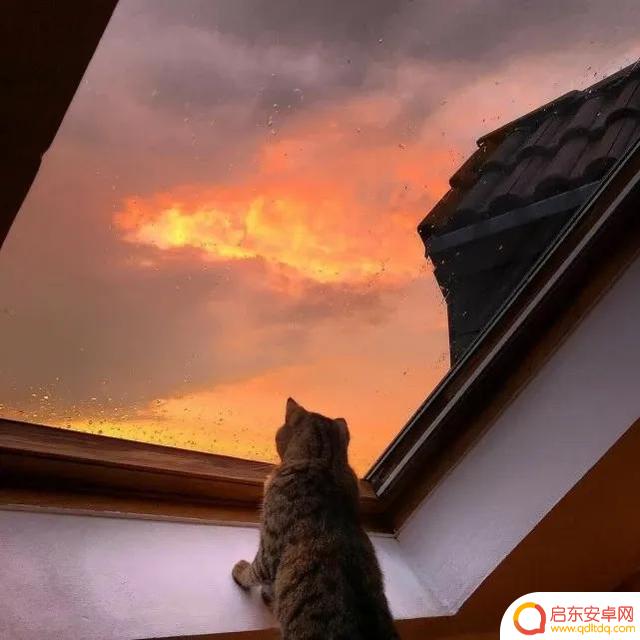 抖音背景夕阳照片(抖音背景夕阳照片怎么弄)