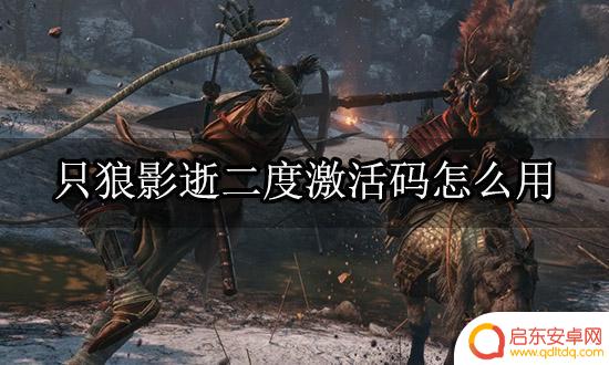只狼steam激活码 只狼影逝二度激活码怎么使用