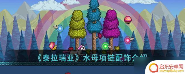 水母项链泰拉瑞亚 泰拉瑞亚水母项链配饰用途