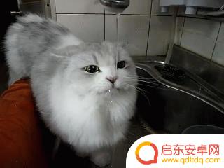 抖音射击视频素材(抖音射击视频素材下载)