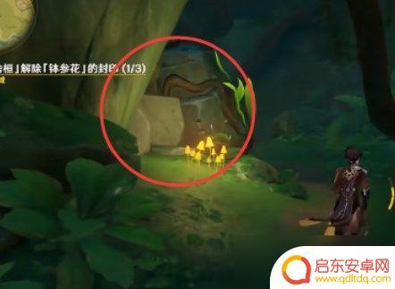 原神钵参花封印位置 《原神》苦舍恒解除钵参花攻略