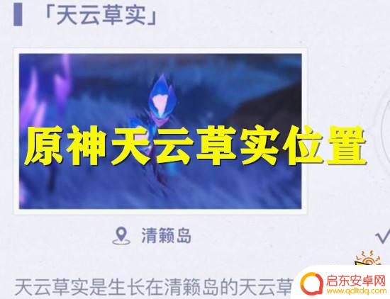 原神天原草实 原神天云草实详细采集路线