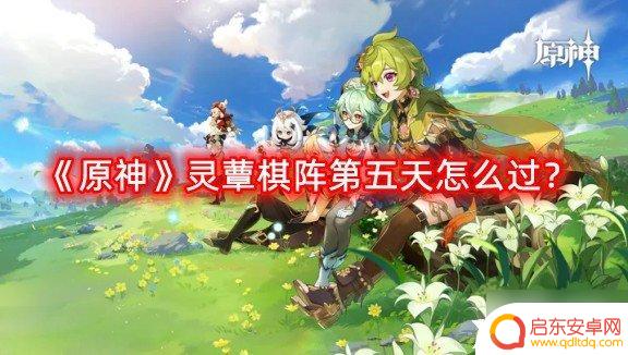 棋阵原神攻略第5 如何顺利通关《原神》灵蕈棋阵第五天