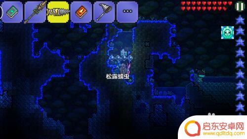 泰拉瑞亚中松露虫有什么用 泰拉瑞亚松露虫捕捉方法