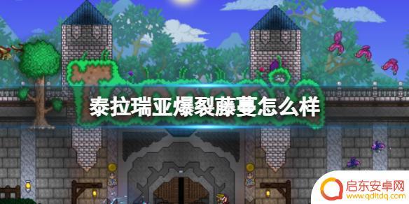 泰拉瑞亚爆裂藤蔓怎么做 《泰拉瑞亚》爆裂藤蔓属性解析
