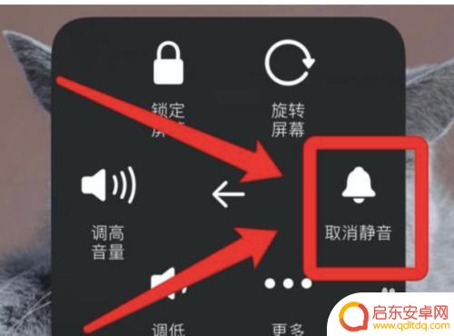 为什么苹果玩原神没有声音 苹果手机原神外放声音不工作怎么办