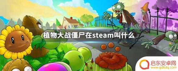 steam购买植物大战僵尸 steam上的植物大战僵尸叫什么名字