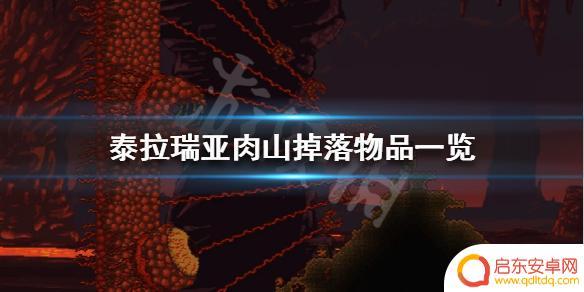 泰拉瑞亚大师肉山掉落物品 《泰拉瑞亚》肉山掉落物品有哪些