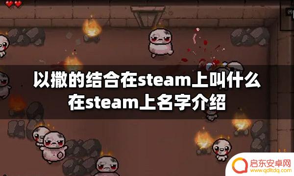 以撒的结合steam怎么搜 以撒的结合steam版介绍