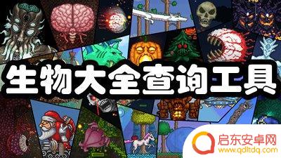 泰拉瑞亚备份文件怎么用 泰拉瑞亚存档备份教程