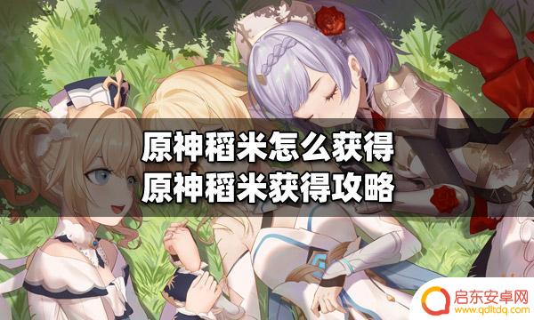 原神艾米怎么获取 原神如何获得稻米