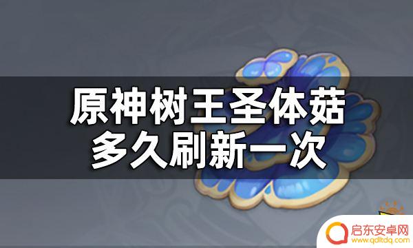 原神树王圣体菇几天刷新 原神树王圣体菇刷新时间