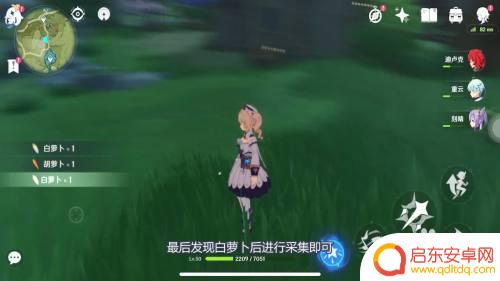 原神哪里可以获得白萝卜 原神白萝卜产地在哪里