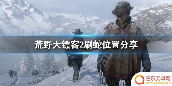 xbox360荒野大镖客救赎蛇在哪里 荒野大镖客2蛇怎么刷