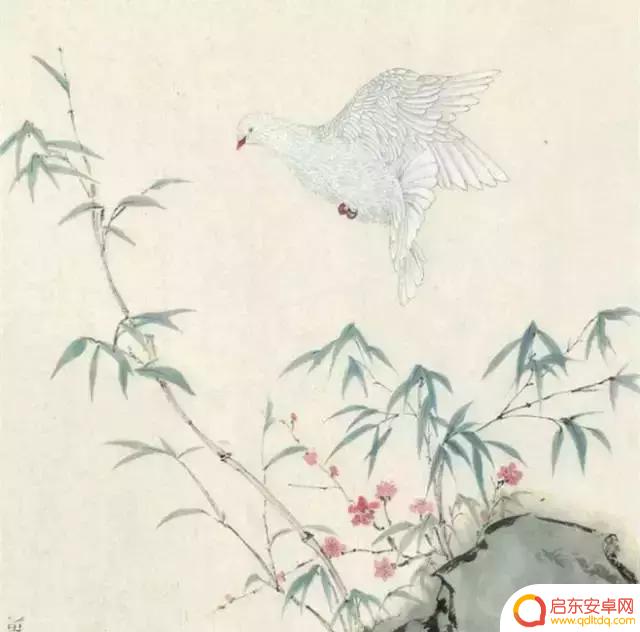 抖音主页有哪些诗词(抖音主页上怎么设置门店位置)