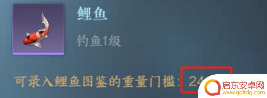 钓鱼达人怎么4个人玩 逆水寒手游闲趣挑战玩法