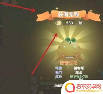 摩尔庄园如何捕捉精灵 摩尔庄园精灵捕抓方法