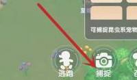 摩尔庄园如何捕捉精灵 摩尔庄园精灵捕抓方法