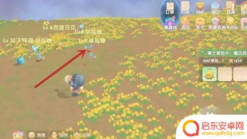 摩尔庄园如何捕捉精灵 摩尔庄园精灵捕抓方法