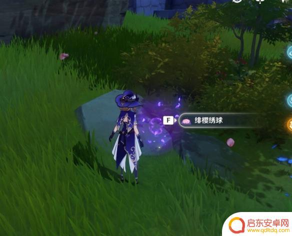 原神樱花在哪 原神樱花收集方法