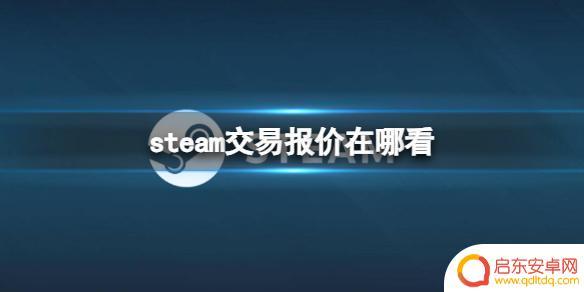steam交易报价在哪看 《steam》交易报价查询地点位置指引