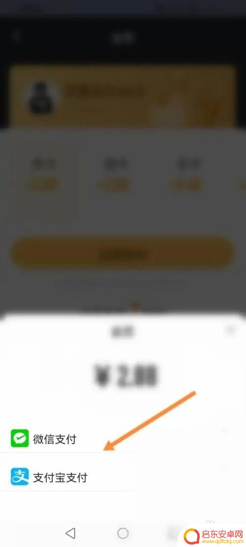 233乐园怎么卡会员 233乐园会员开通方法
