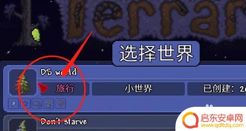 泰拉瑞亚饥荒种子怎么放 泰拉瑞亚饥荒联动种子有什么用途
