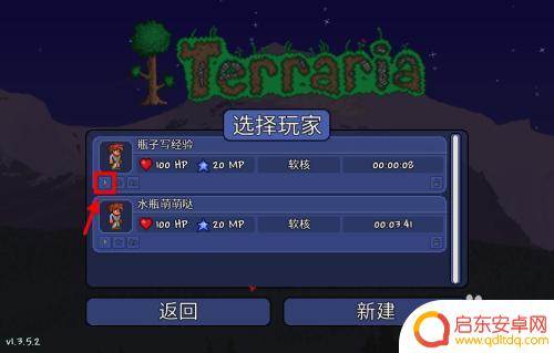 泰拉瑞亚地图怎么开？详细教程分享