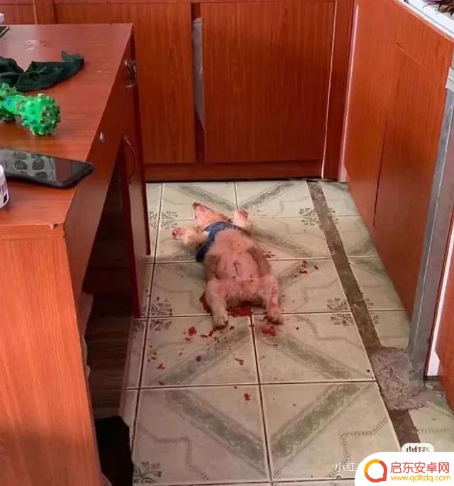 喝酒超搞笑段子抖音(喝酒超搞笑段子抖音视频)