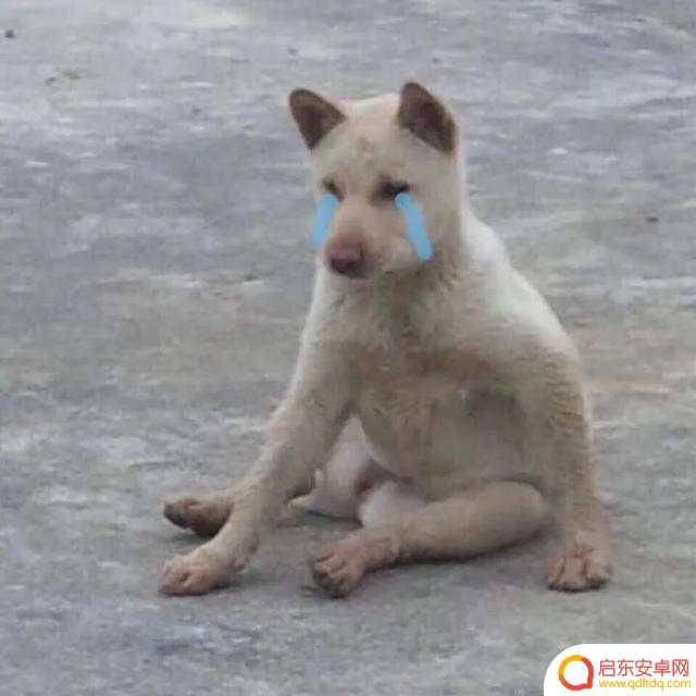 喝酒超搞笑段子抖音(喝酒超搞笑段子抖音视频)