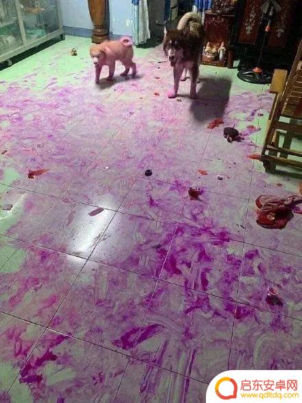 喝酒超搞笑段子抖音(喝酒超搞笑段子抖音视频)