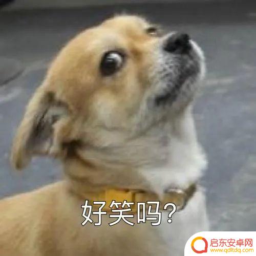 喝酒超搞笑段子抖音(喝酒超搞笑段子抖音视频)