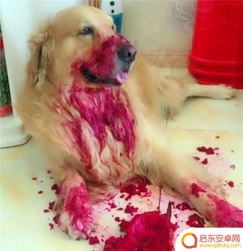 喝酒超搞笑段子抖音(喝酒超搞笑段子抖音视频)