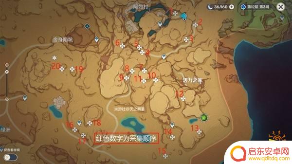 原神怎么获得赤念果树苗 原神80个赤念果采集路线大全