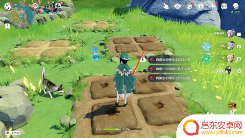 原神绝云椒椒怎么种植 如何在原神中成功种植绝云椒椒