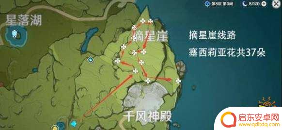 原神赛西利亚花在哪里买 塞西莉亚花在哪里可以买到