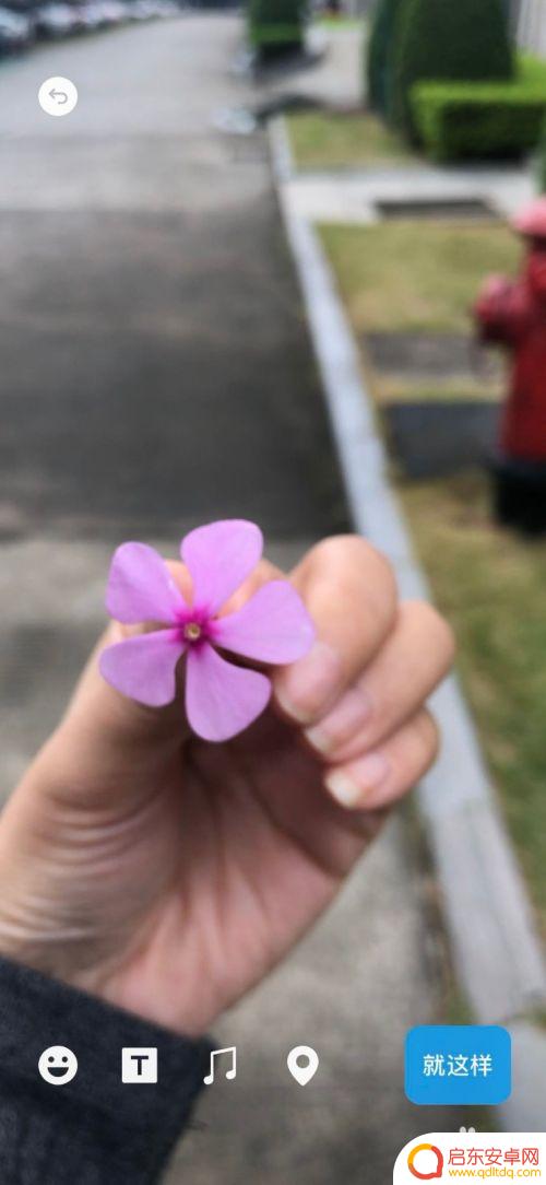 手机如何设置主页背景视频 在主页中设置小视频为背景的新版微信操作方法
