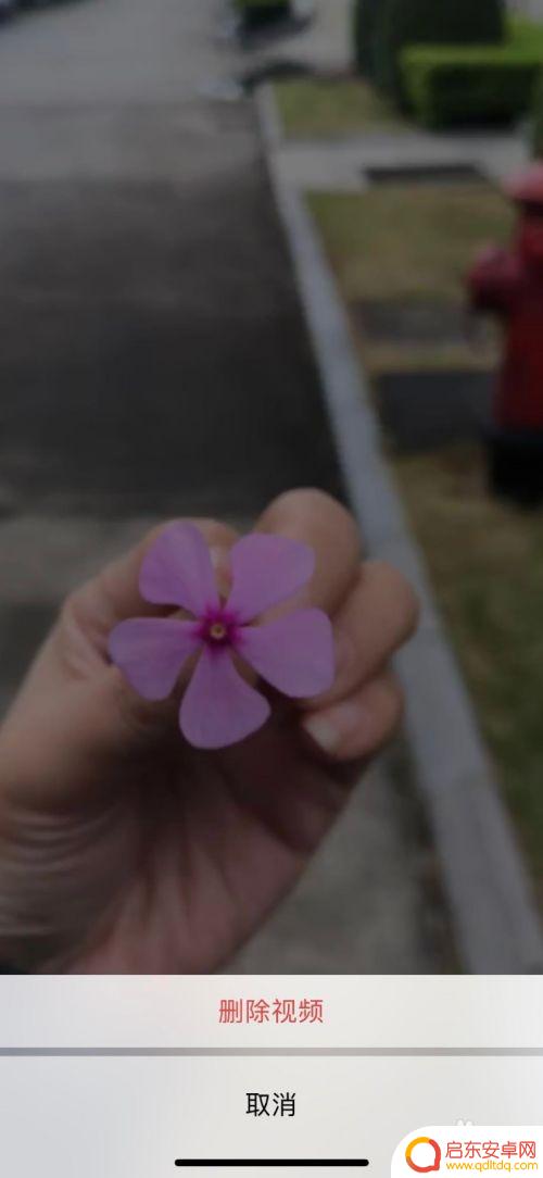 手机如何设置主页背景视频 在主页中设置小视频为背景的新版微信操作方法